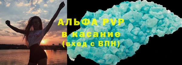сатива Новозыбков