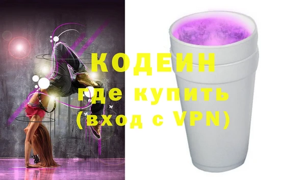 сатива Новозыбков