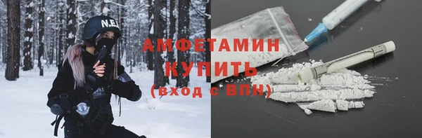 сатива Новозыбков