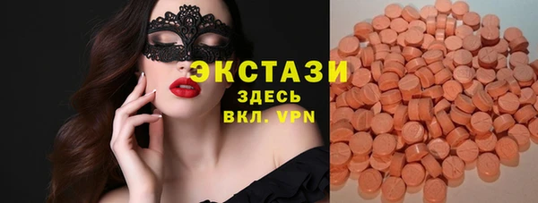 сатива Новозыбков
