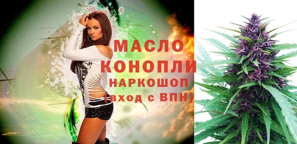 сатива Новозыбков