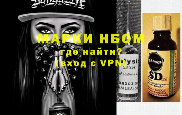 сатива Новозыбков