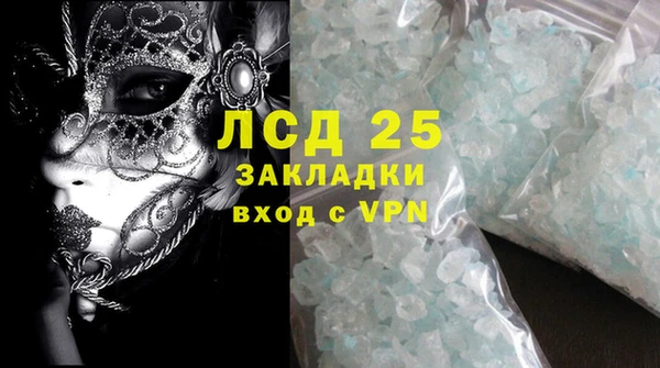 сатива Новозыбков