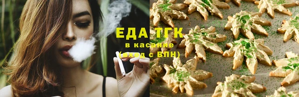 сатива Новозыбков