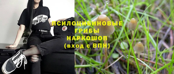 Альфа ПВП Нефтекумск