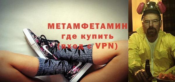 сатива Новозыбков