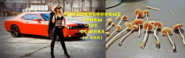 мдма Видное