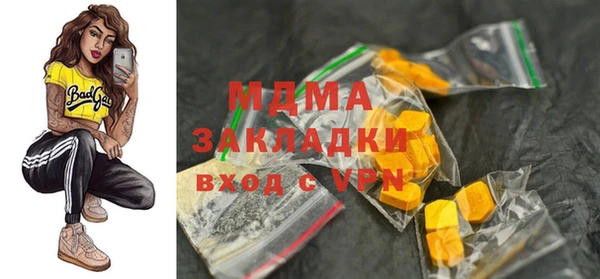 сатива Новозыбков