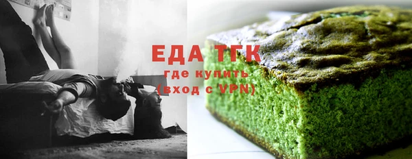сатива Новозыбков