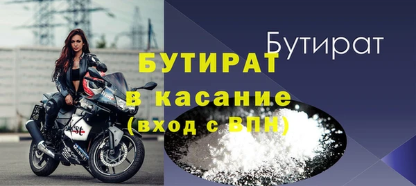 сатива Новозыбков